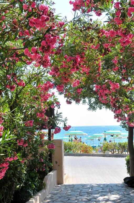 Hotel Villa Rodriguez 3*